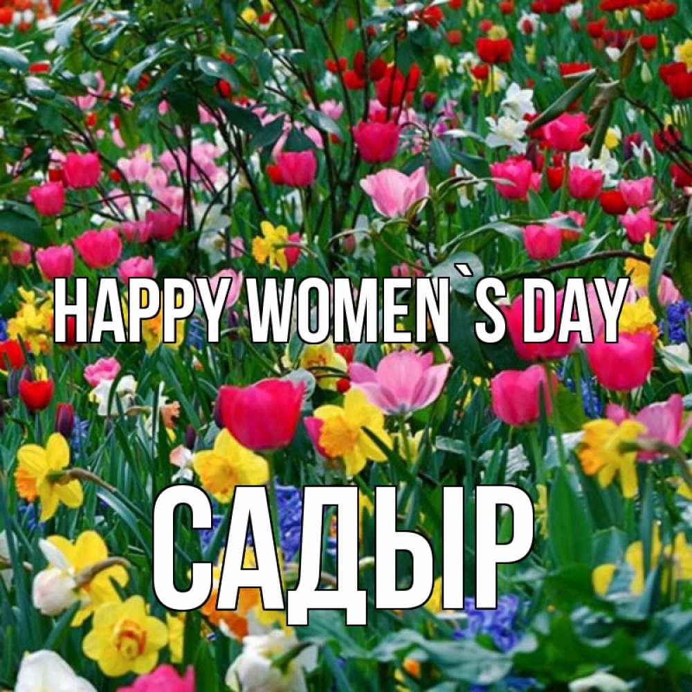 Greetings card с именем, САДЫР happy women`s day с международным женским днем поздравления для женщины Greetings with text for free download 